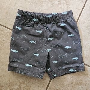 24M Child of Mine Toddler Boys Shorts